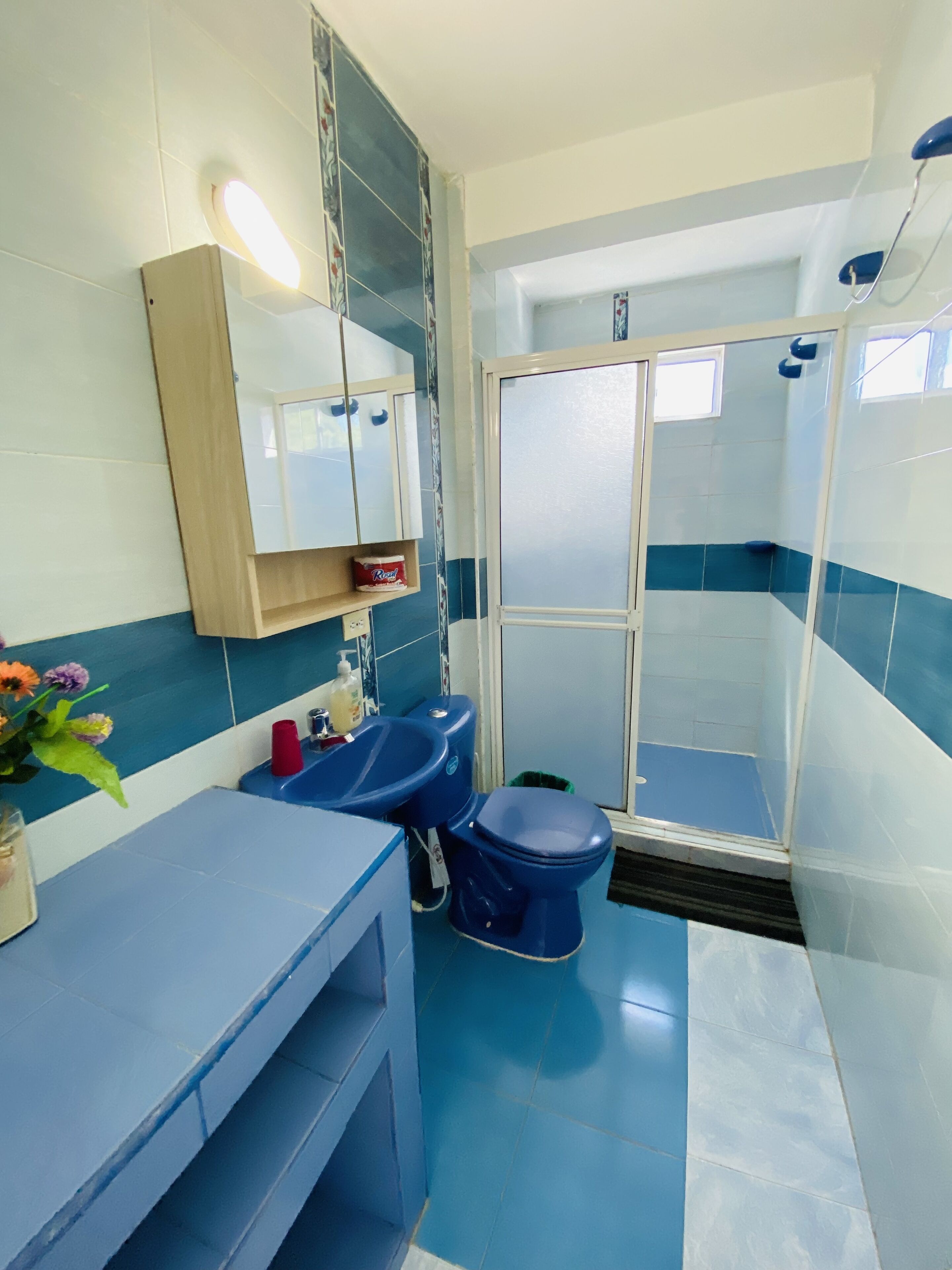 Lägenhet Standard | Badrum | Dusch, handdukar och toalettpapper