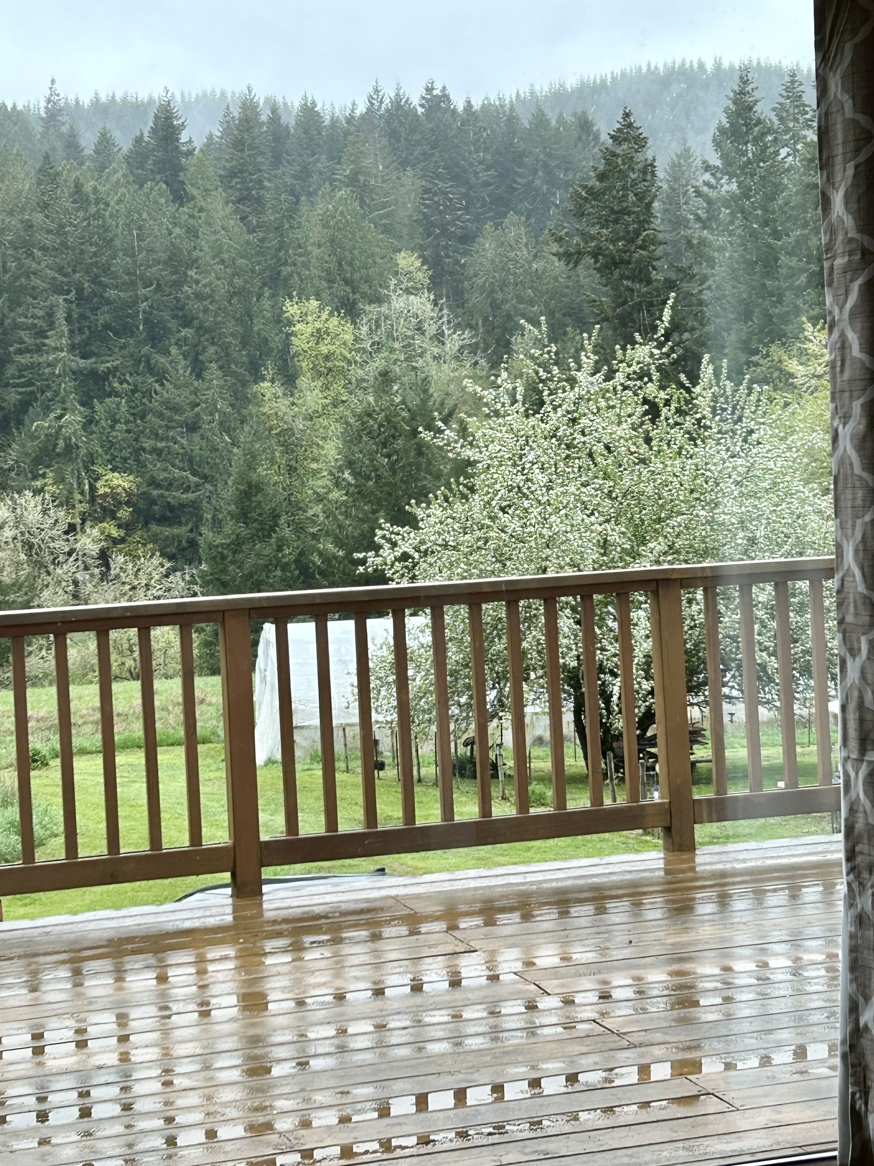 テラス / パティオ