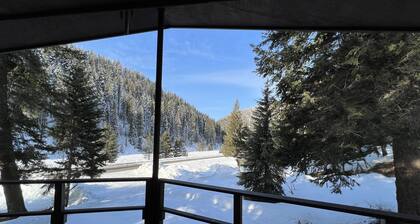 South Fork Junction Lodge & RV Park