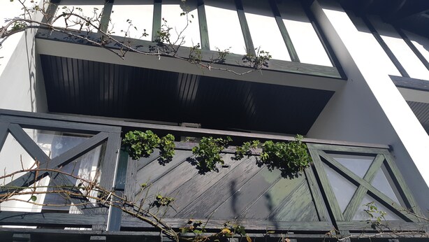 A balcony with wooden railings and climbing plants. - House 7 persons in triplex Hendaye  (Hendaye)