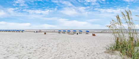 Na praia, espreguiçadeiras