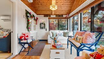 Smart TV, fireplace, books