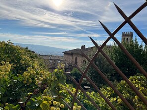 Udsigt fra overnatningsstedet