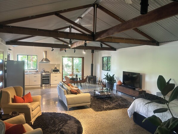 Smart TV, fireplace, books, stereo