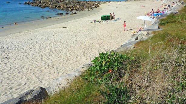 Una playa arenosa con un rompeolas rocoso, agua azul cristalina y una zona verde con algunas personas y sombrillas.