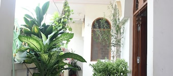 Homestay with Wellness Programme city tour and guide
