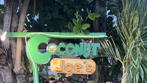 Señal de 'Coconut Joe's' con una combinación de colores verde y naranja, rodeada de abundante follaje y diversas plantas.