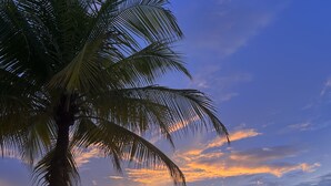 Una palmera junto a un muro de piedra con vista a un mar tranquilo al atardecer.