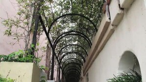 A narrow alleyway with a metal archway overhead, flanked by buildings and greenery.