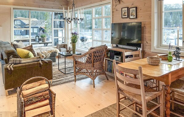 Televisión, chimenea y reproductor de DVD 