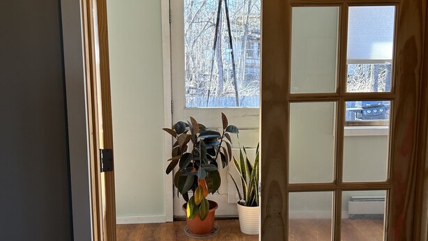 Puerta abierta que da a una habitación con piso de madera, una ventana con vista a árboles y dos plantas en macetas.