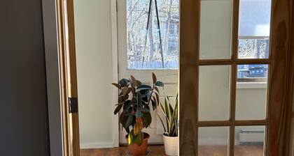 Quiet and cozy home close to downtown Accord