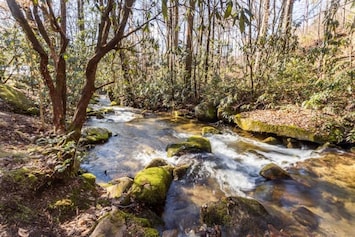 Back Yard Creek