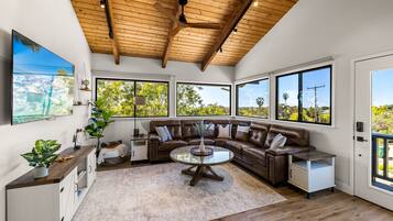 Smart TV, libros y estéreo