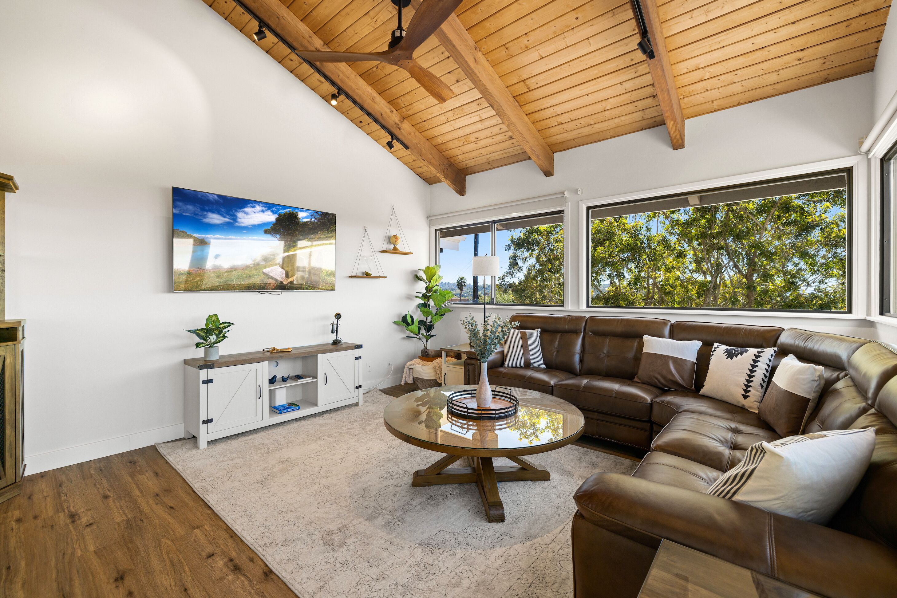 Smart TV, books, stereo