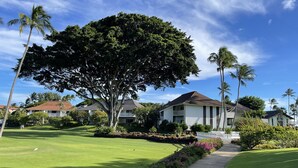A residential area with houses, a large tree, and a well-maintained lawn. - NEW! Top Floor Views with A/C in Poipu Beach, Resort Amenities (Koloa)