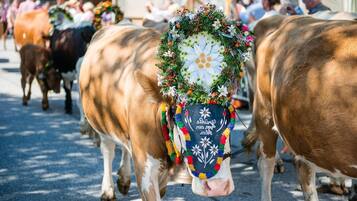 Appartement | Uitzicht vanuit accommodatie