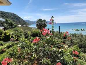 Apartment | Exterior - Snug Apartment in Mpenitses With Shared Pool (Corfu)