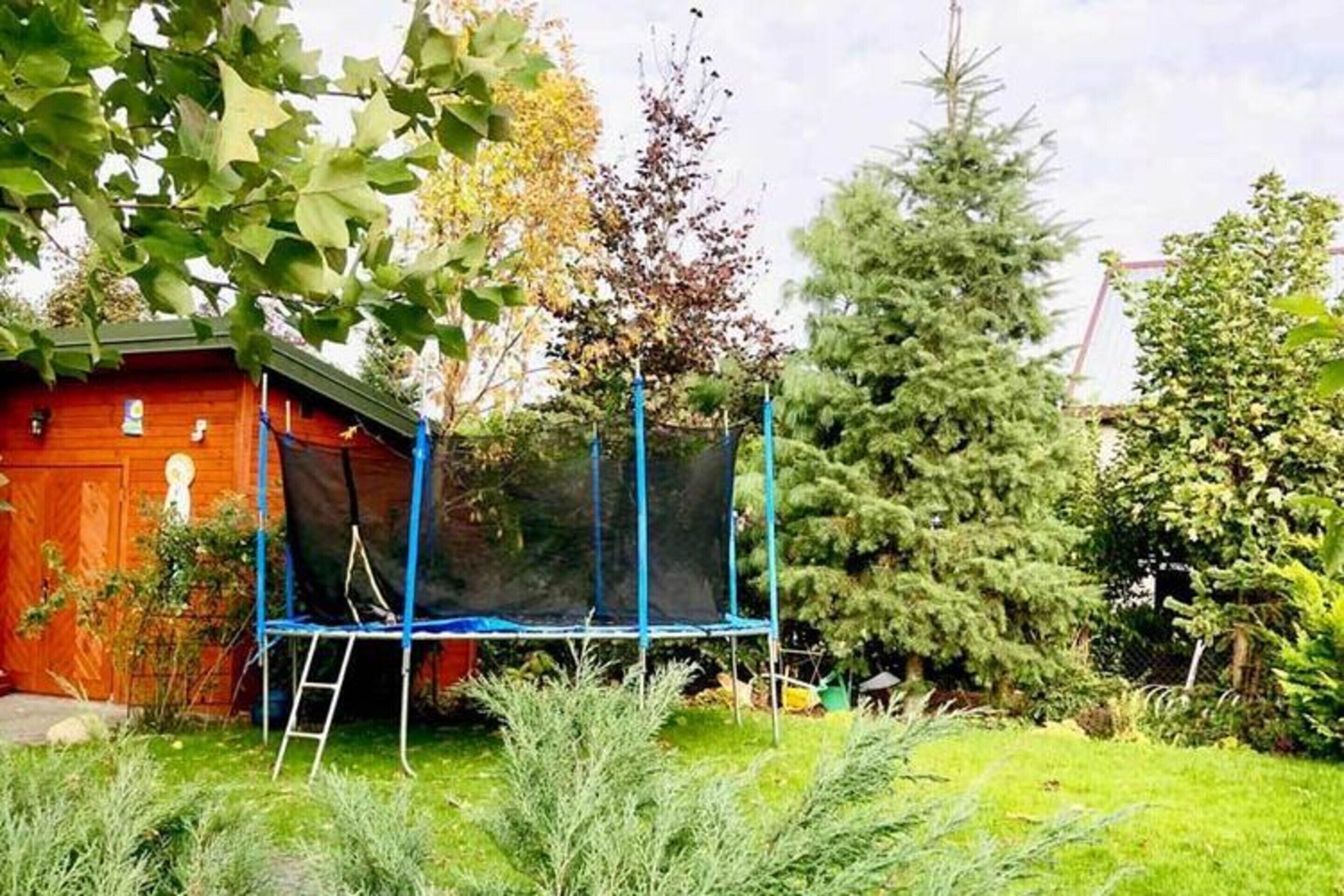 Un trampoline dans un jardin, à côté d’une maison en bois, entouré de différents arbres et arbustes.