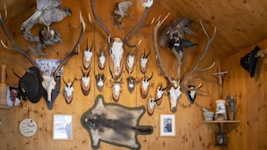 Een kamer met houten wanden, dierenkoppen en opgezette vogels aan de muur.