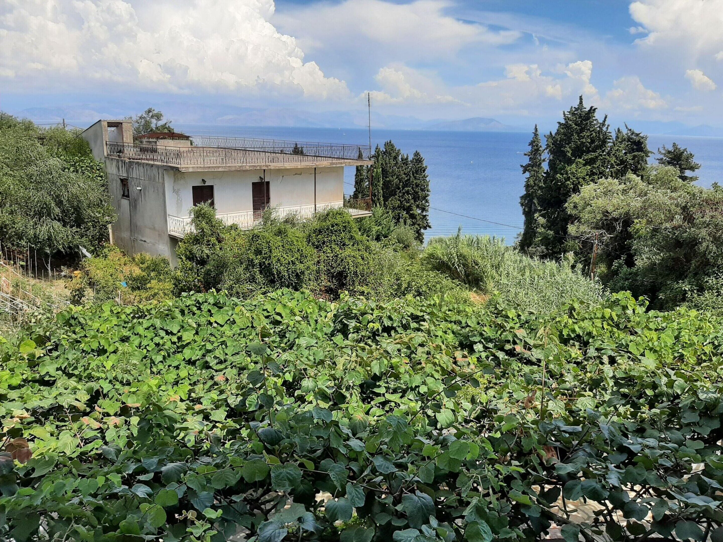 Apartment | View from property
