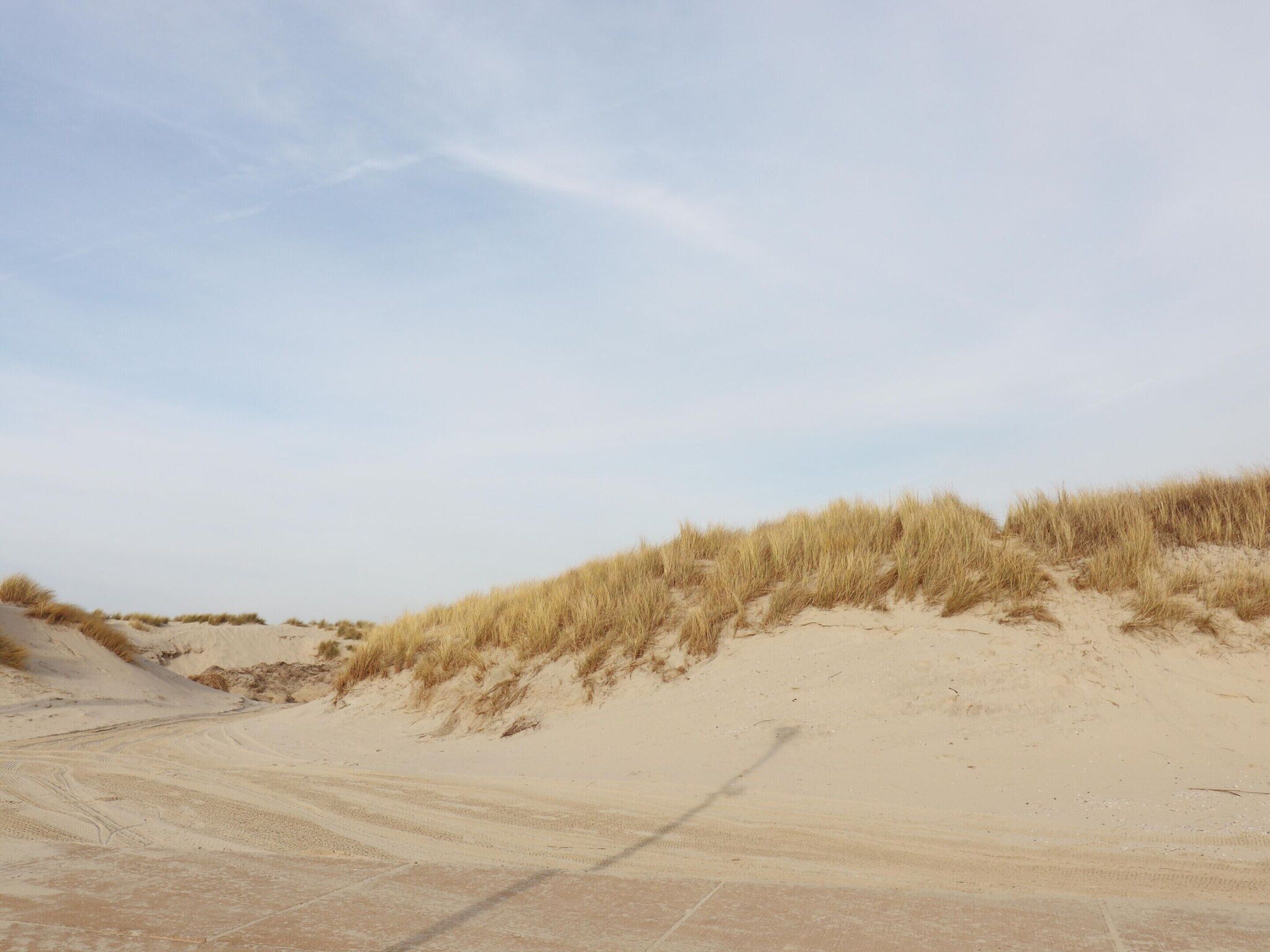 A sandy landscape with dunes and a clear sky.