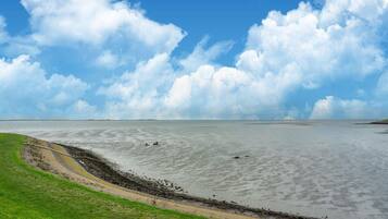 House | View from property