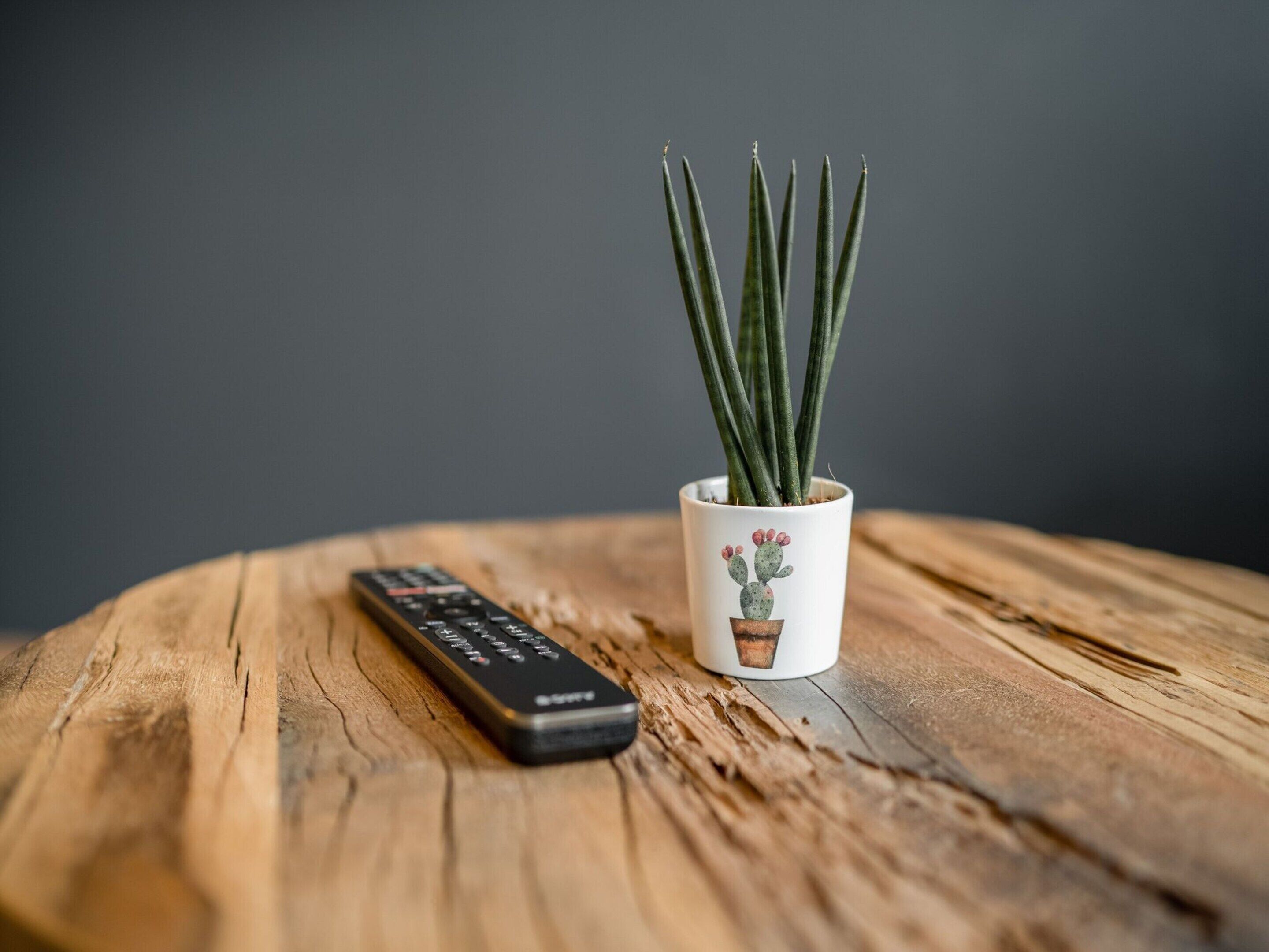Een afstandsbediening en een kamerplant cactus op een houten oppervlak.