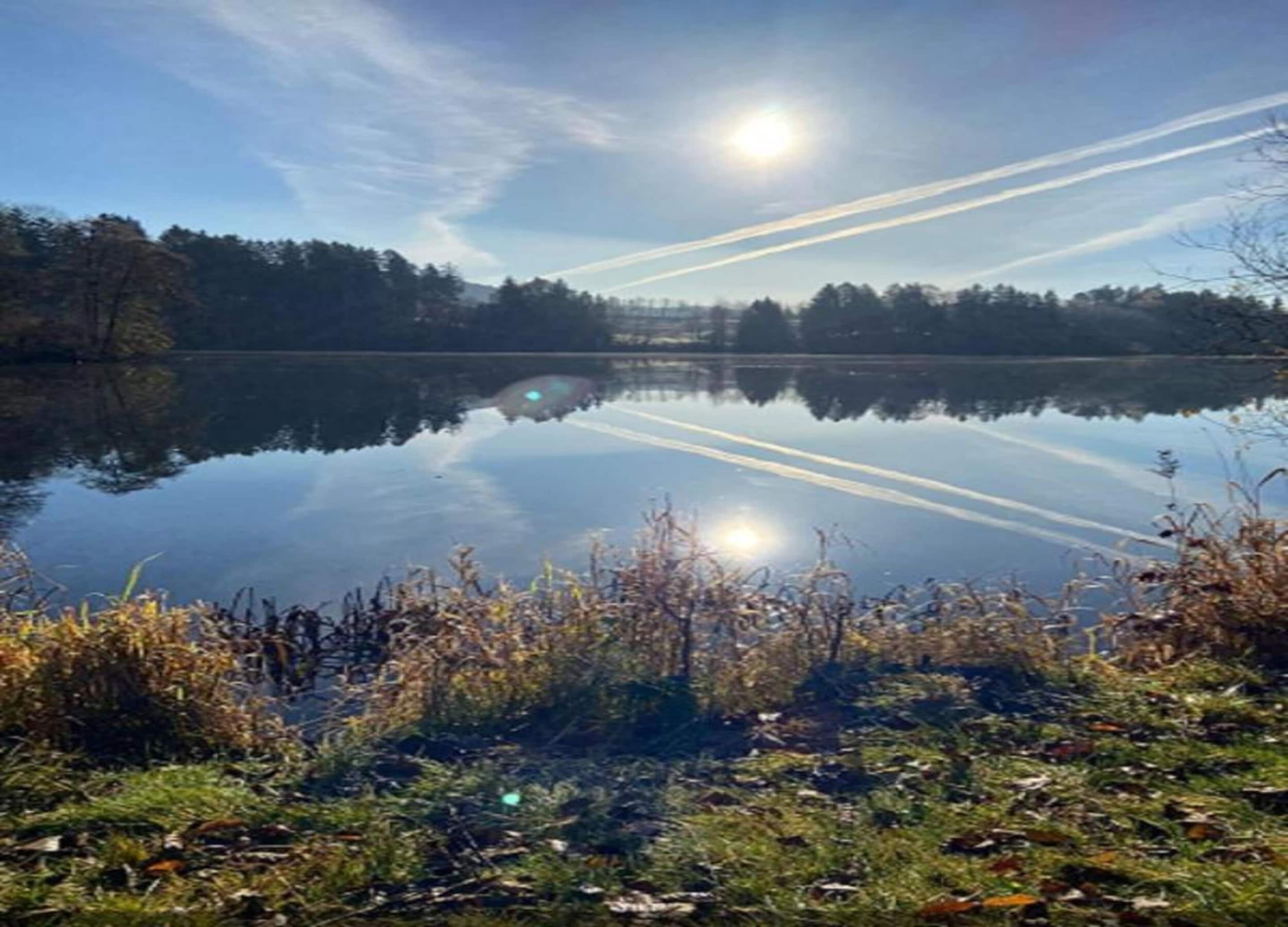 Ein ruhiger See mit Spiegelungen von Himmel und Bäumen, umgeben von dichter Vegetation.
