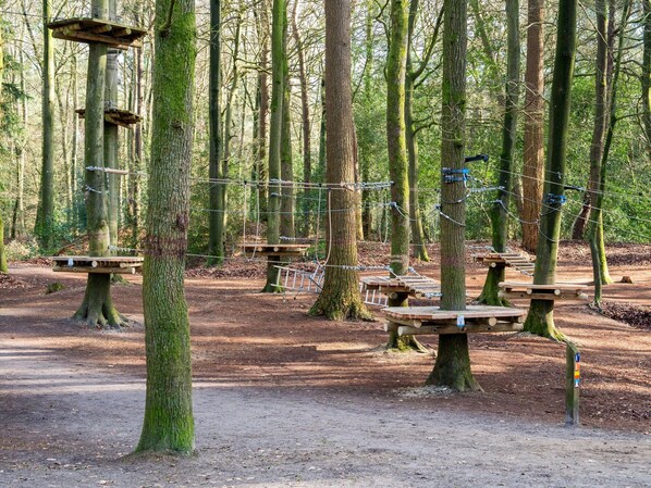 House | View from property - Chalet Near the Woods of Appelscha (Appelscha)