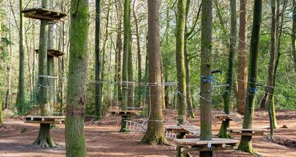 Chalet Near the Woods of Appelscha