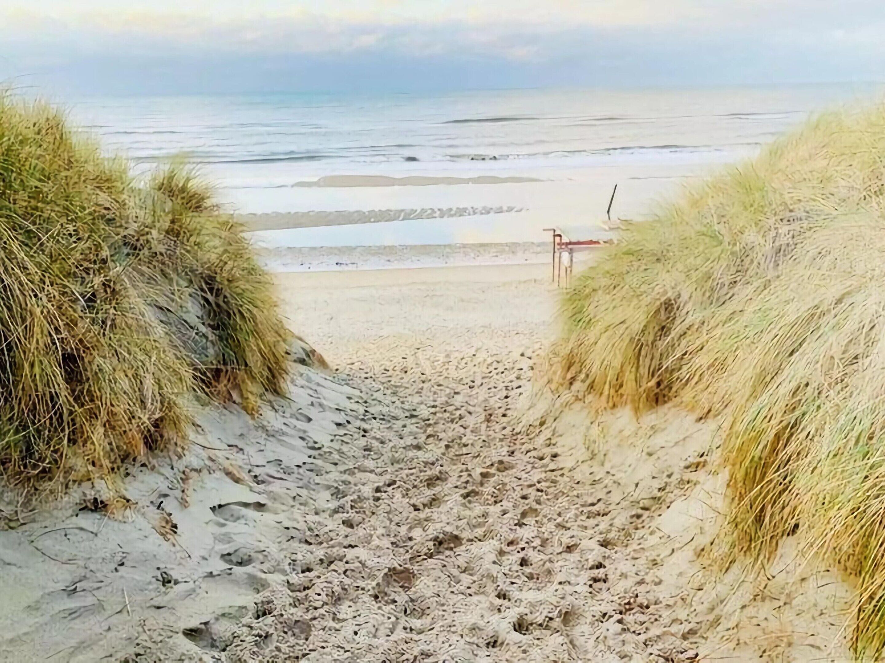 A sandy beach path leading to the ocean, flanked by grassy dunes.