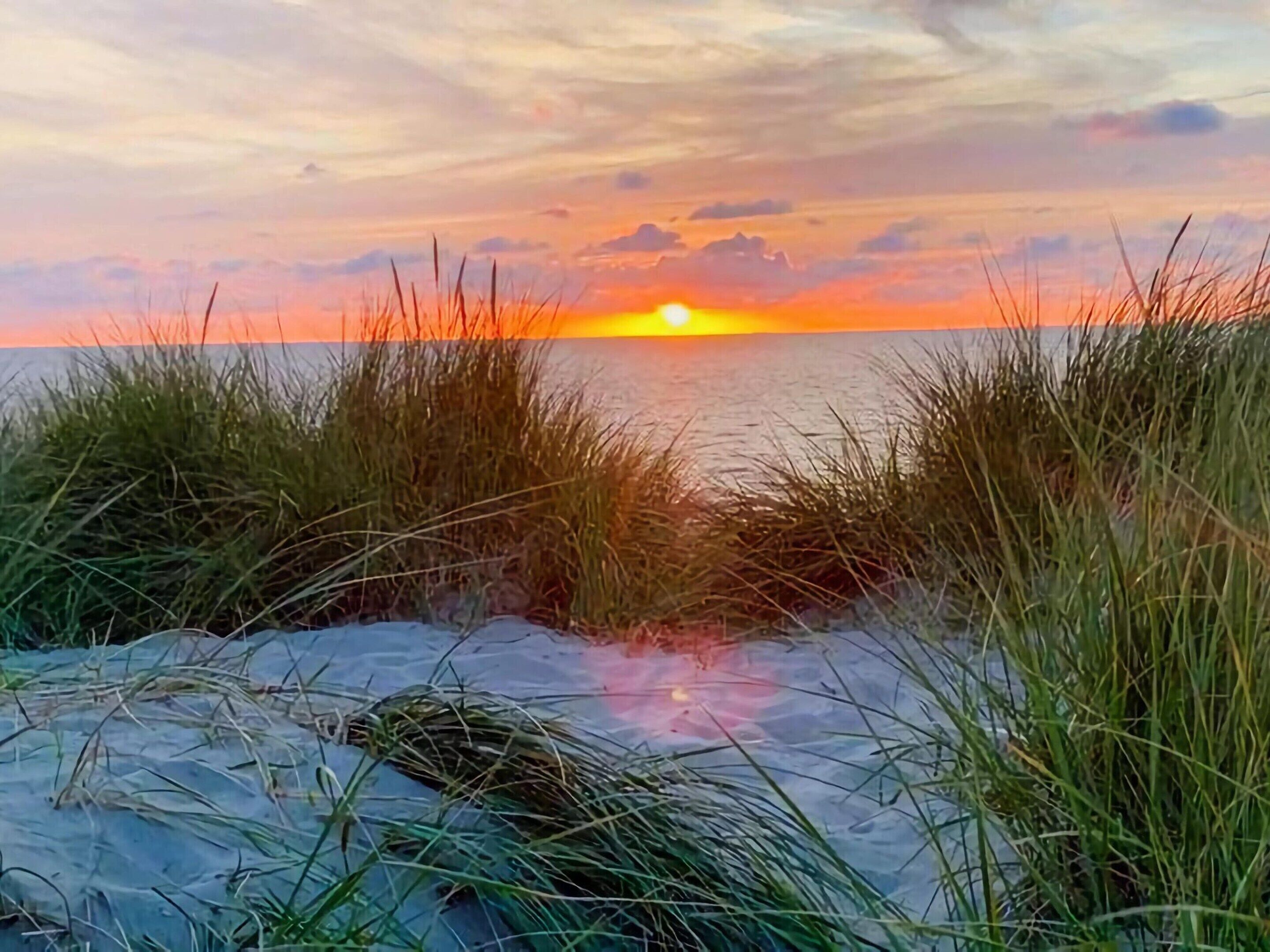 House | View from property