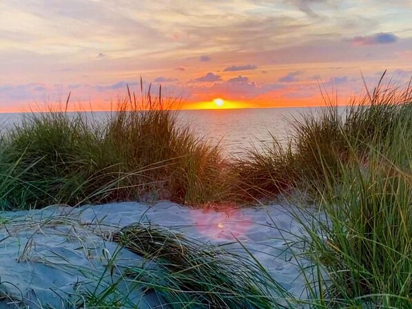 Casa | Vista desde la propiedad
