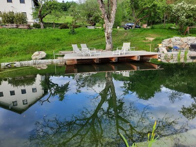 Loft-like Apartment With Swimming Pond