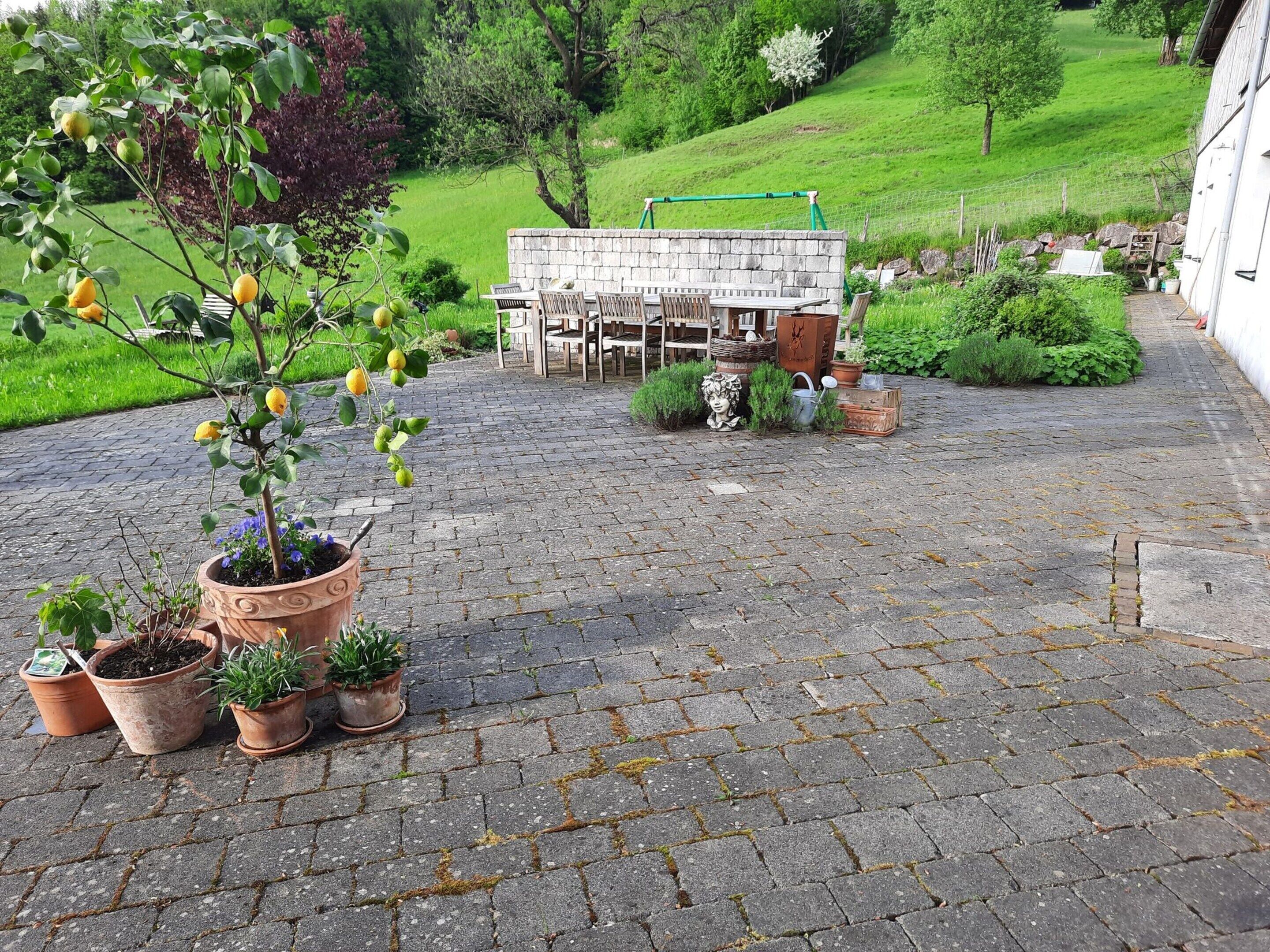 A paved courtyard with potted plants, a stone wall, and a wooden bench.