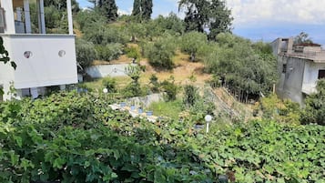 Apartamento | Fachada