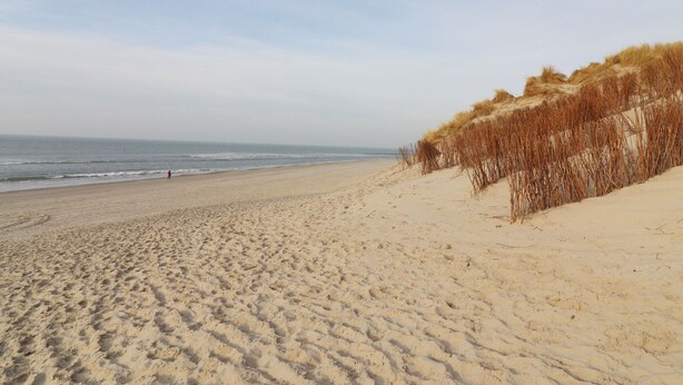Ein Sandstrand mit sanften Wellen und Dünen.