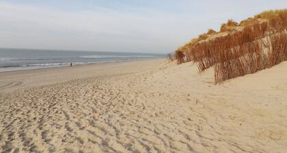 Dune Chalet Between Golf Course and Sea Beach in Hollum