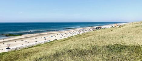 ハウス | 施設からの眺望