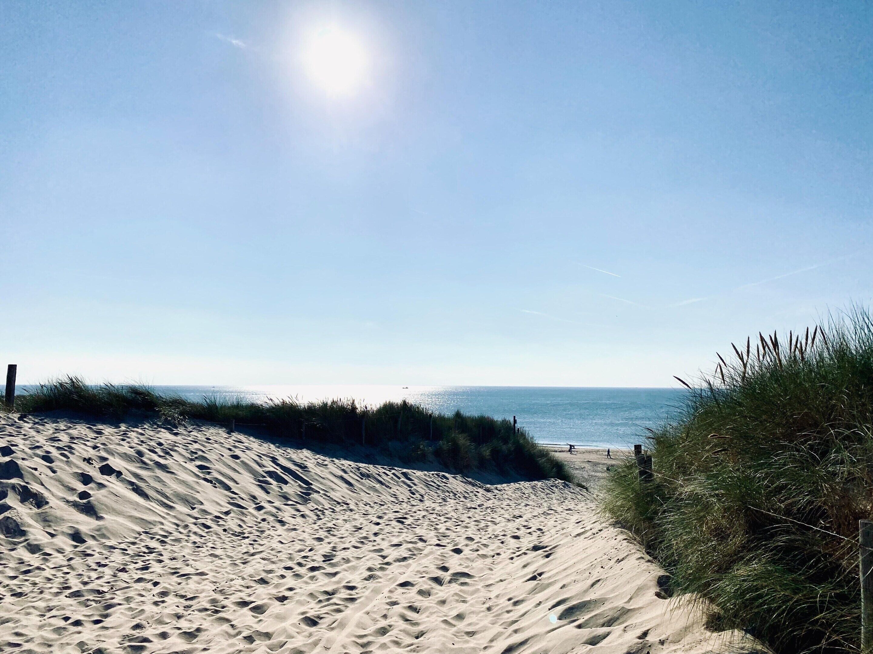 House | View from property