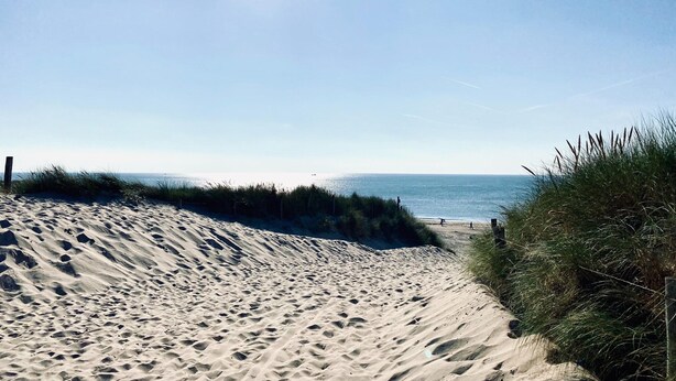 House | View from property - Authentic Cosy Beach Cottage in Callanstoog (Callantsoog)