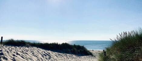 ハウス | 施設からの眺望