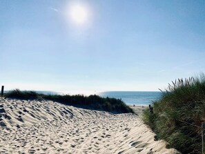 View from property - Authentic Cosy Beach Cottage in Callanstoog (Callantsoog)