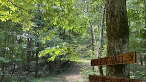 Een boswandeling met houten borden die de richting aangeven naar 'BIKE TRAIL' en 'OVERLOOK'.
