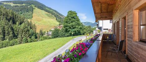 Apartment | View from property