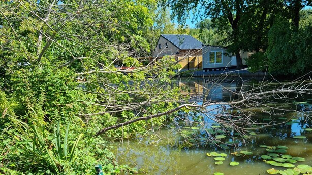 A wooden boat docked by a pond with lily pads, surrounded by lush greenery and a house in the background. - Tranquil Chalet in Geel With Garden (Geel)