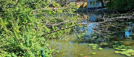 Chalet | Pemandangan dari properti