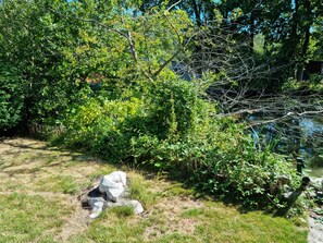 A natural outdoor area with dense greenery and a small pond. - Tranquil Chalet in Geel With Garden (Geel)