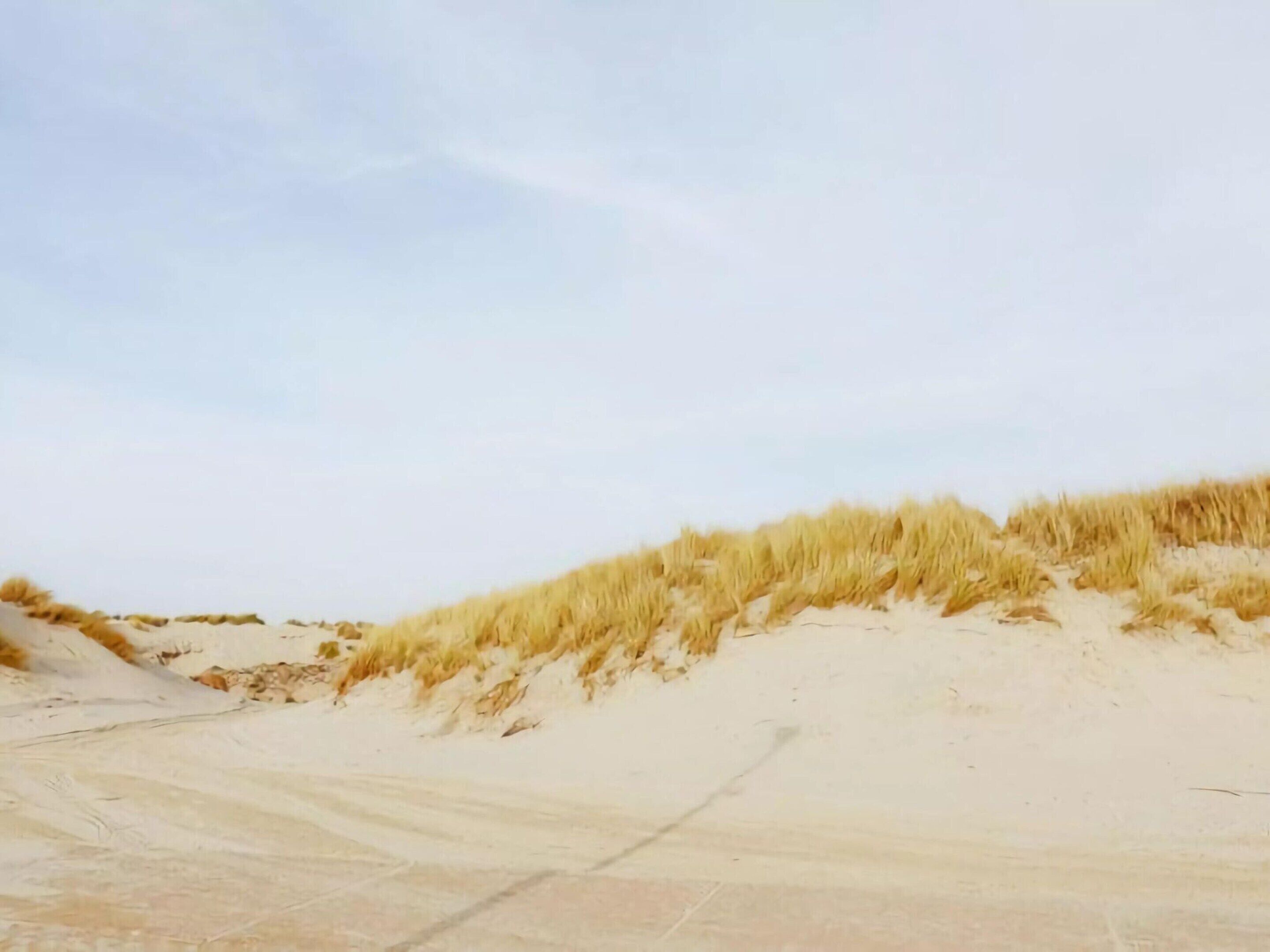 Un paisaje arenoso con dunas y vegetación escasa.